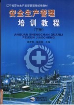 安全生产管理培训教程 下