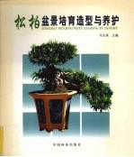 松柏盆景培育造型与养护