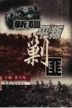 新疆平叛剿匪