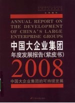 中国大企业集团年度发展报告:2008