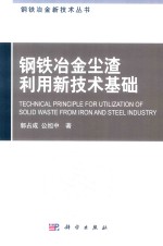 钢铁冶金新技术丛书 钢铁冶金尘渣利用新技术基础