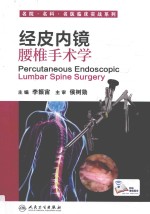 名院 名科 名医临床实战案例 经皮内镜腰椎手术学