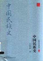 王桐龄中国民族史 下