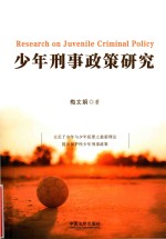 少年刑事政策研究