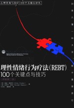 心理咨询与治疗100个关键点译丛 理性情绪行为疗法 REBT 100个关键点与技巧