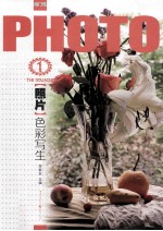 照片 色彩写生