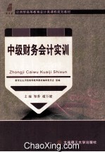 新世纪应用型高等教育会计类课程规划教材 中级财务会计实训