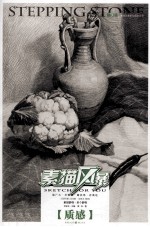 敲门砖素描风暴系列美术丛书·素描风暴 素描静物·单个静物