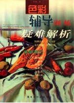 色彩辅导训练疑难解析 水粉技巧