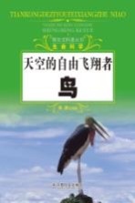 天空的自由飞翔者 鸟