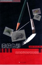 素描色彩基础教学分步训练教程 水果蔬菜篇
