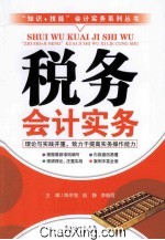 税务会计实务