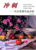 冲刺 中央美术学院 清华大学美术学院 中国美术学院 色彩优秀作品评析