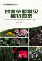 甘肃草原常见植物图集