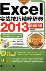 Excel 2013实战技巧精粹辞典 超值双色版