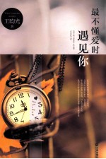 最不懂爱时遇见你