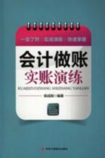 会计做账实账演练
