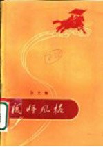 闯将风格 杂文集