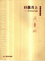 日落月上 周华斌自选集