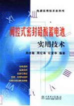 阀控式密封铅酸蓄电池实用技术
