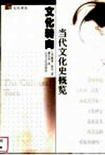 文化转向 当代文化史概览