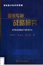 国家专利战略研究