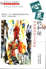 心灵的和弦 中国新诗的人文情怀