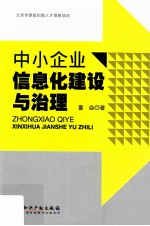 中小企业信息化建设与治理