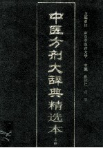 中医方剂大辞典精选本 上