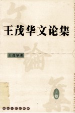 王茂华文论集 上