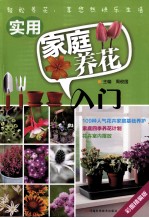 实用家庭养花入门