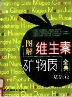 图解维生素·矿物质全典 基础篇