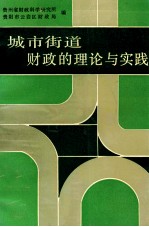 城市街道财政的理论与实践