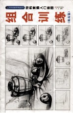 结构素描入门挂图 组合训练 提高篇