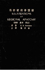 局部解剖学图解 胸部、腹部、骨盆