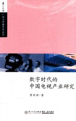 数字时代的中国电视产业研究