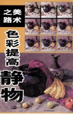 美术之路色彩提高 静物