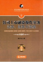 公司上市融资操作实务 法务、财务与流程