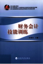 财务会计技能训练