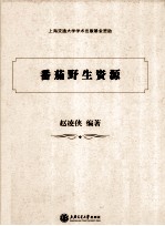 番茄野生资源