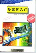 多媒体入门