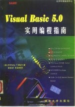 Visual Basic 5.0实用编程指南