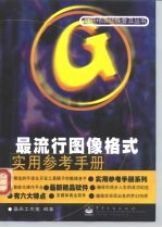 最流行图像格式实用参考手册
