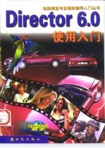 Director6.0使用入门