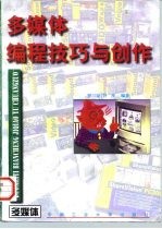 多媒体编程技巧与创作