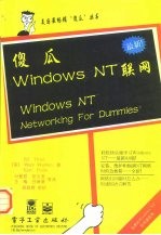 傻瓜Windows NT联网