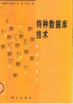 特种数据库技术