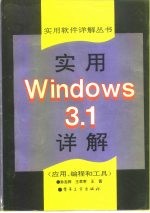 实用Windows 3.1详解 应用、编程和工具