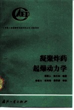 凝聚炸药起爆动力学
