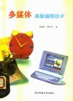 多媒体高级编程技术